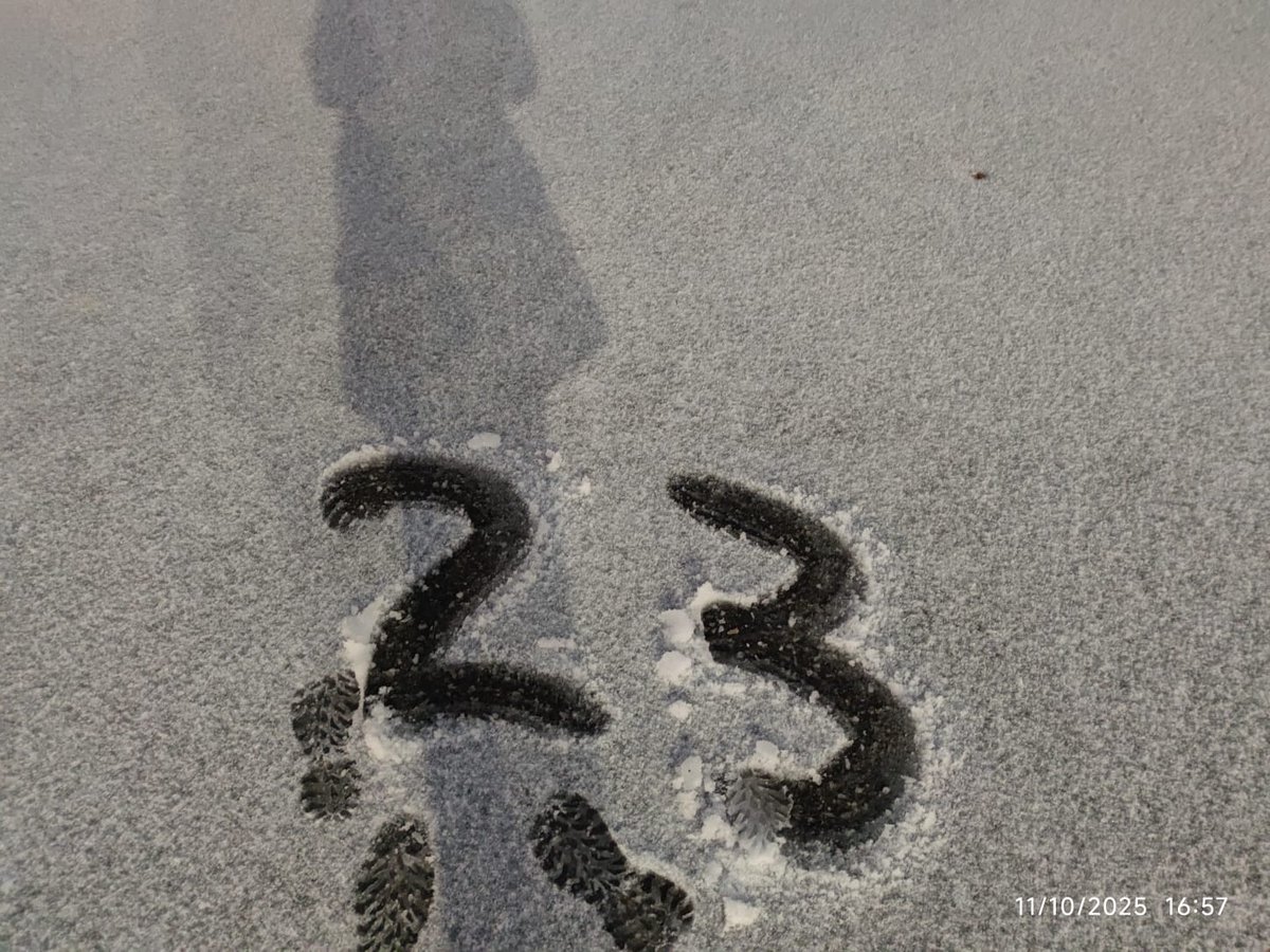 #23 tweet media