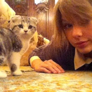 TheSwiftSociety's tweet photo. 🎉| Fun Fact: Today is doctor Meredith Grey’s birthday! 

Taylor announced her official adoption on November 3rd, 2011 but her official calendar lists November 10th as her birthday! 

Happy birthday Mer! https://t.co/BecCjnGEYS