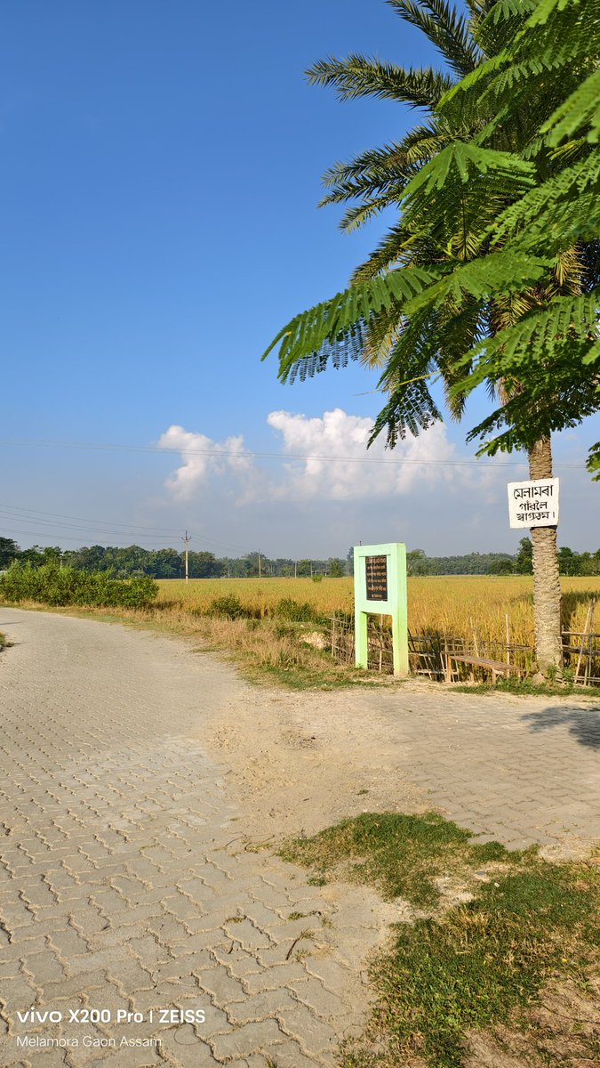 bitupon88900972's tweet photo. Good Morning 
#destinationkhumtai #cleankhumtai #cleanmelamora #SwachhaaHiSeva #plogging #avoidplastic #SwachhBharat @Mrinal_MLA @himantabiswa @CMOfficeAssam @narendramodi @PMOIndia @NANDANPRATIM @Pijush_hazarika @PmargheritaBJP @KamakhyaTasa @manabdeka @borgohainSBG https://t.co/Pi0wLymple