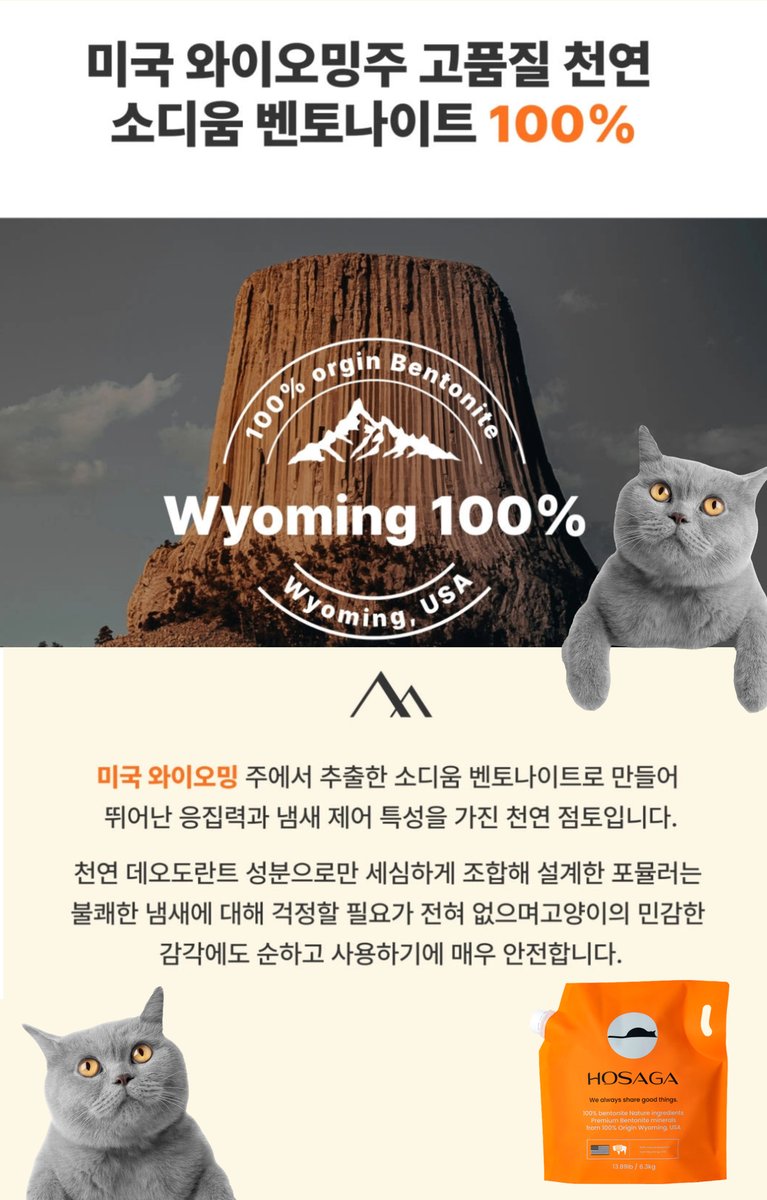 까다로운 냥님도 한 번 쓰면 홀딱 반하는 #마성의벤토 💖 호사가가 답이에요! 🏌️‍♀️

m.site.naver.com/1UUJY