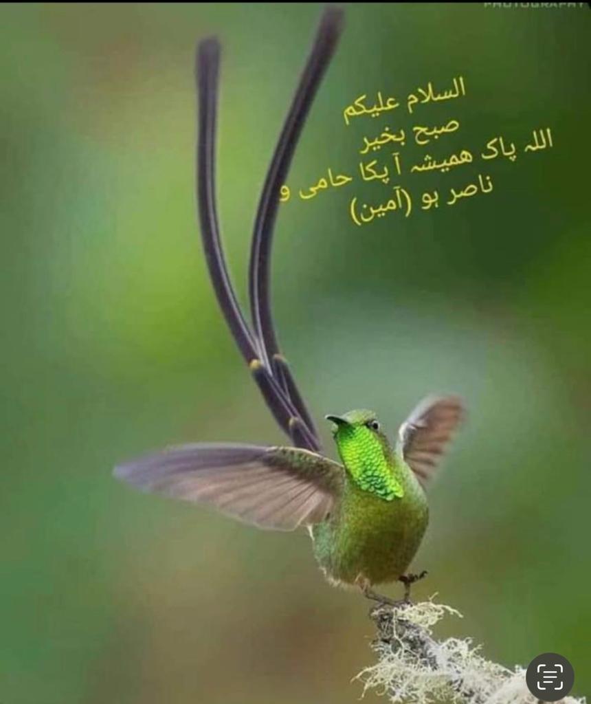 Dr. Waseem Ahmad tweet media