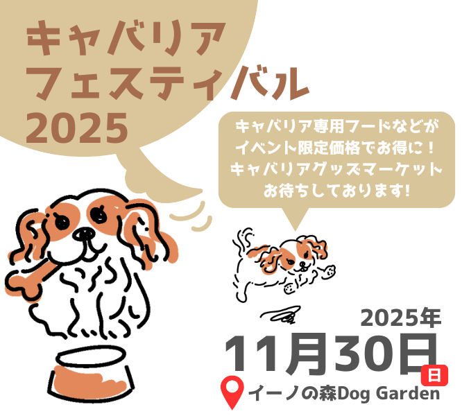 UniqueOne_pet's tweet photo. 🔊イベント情報
○キャバリアフェスティバル 2025○
日時：2025年11月30日(日)  9:00〜16:00 ※雨天決行、荒天中止
会場：イーノの森DogGarden　東京都江東区夢の島3丁目2-2
イベント詳細はこちらhttps://t.co/QRfhyiR29B
#キャバリアフェス2025 https://t.co/CU4vuxv71r