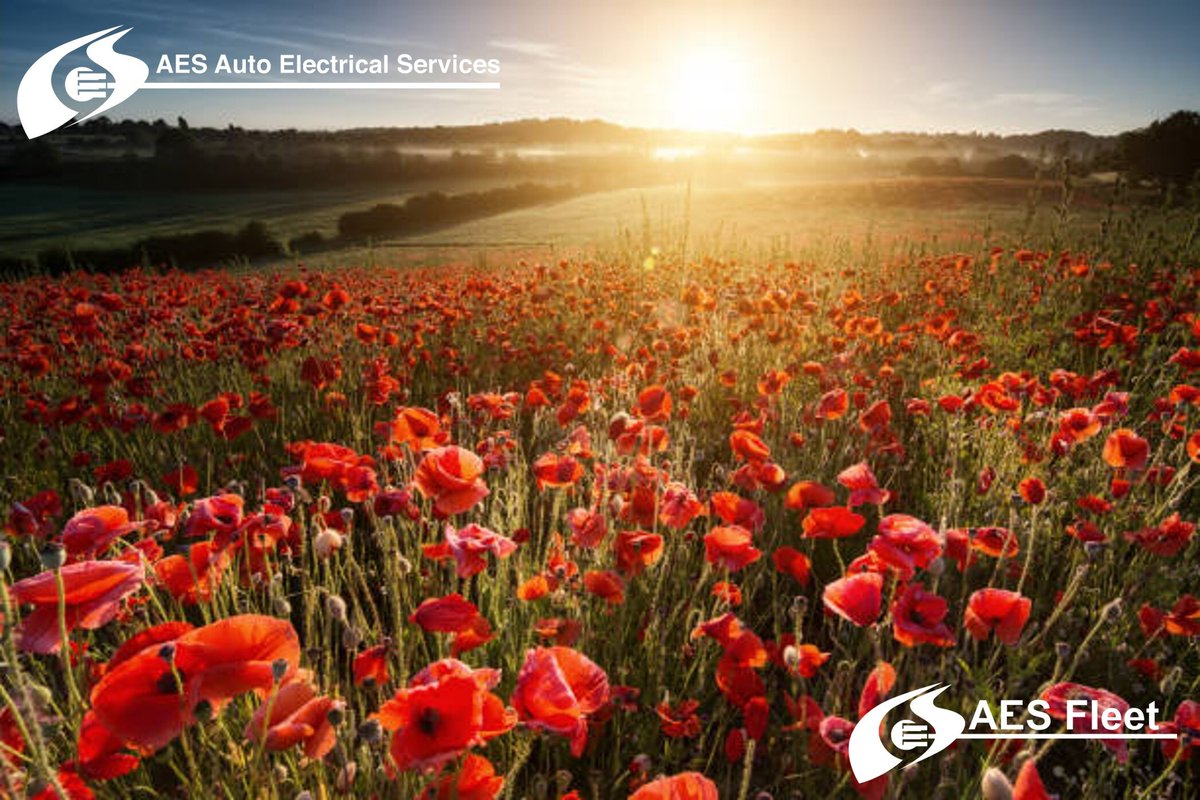 AutoElectrical-LB tweet media