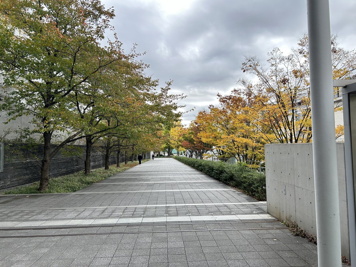 Po_geo_'s tweet photo. 秋です https://t.co/i1zGOJWbmb