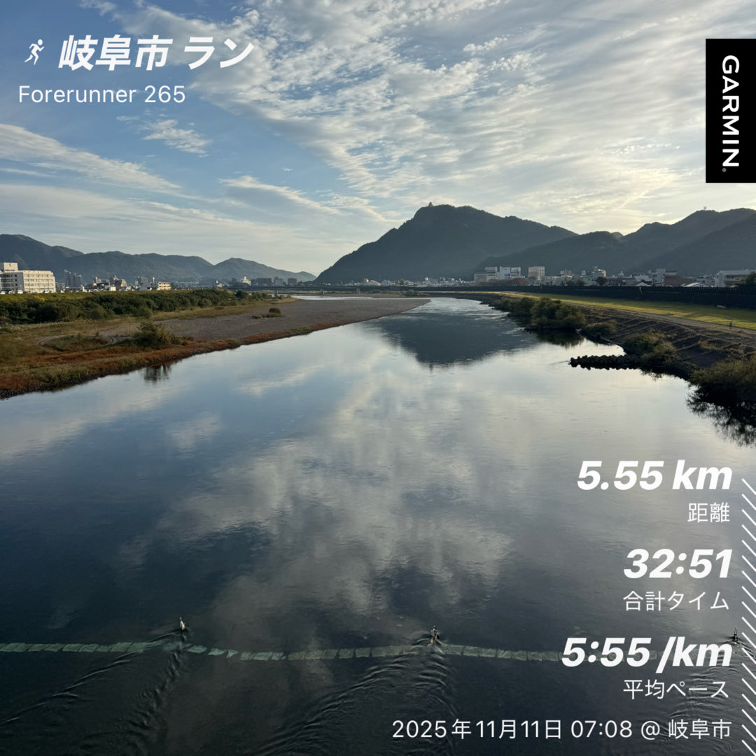 SomuKen's tweet photo. 岐阜に出張なので、長良川を目指してランニング
金華山と長良川、美しい景観です https://t.co/WYr3ZfgFbf