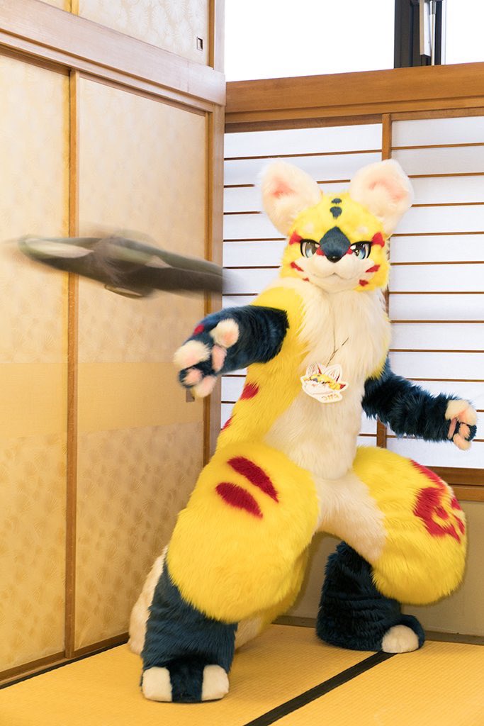 KoganeNinja's tweet photo. 11月11日11時11分のお知らせだぞ‼︎
今日はオイラが師匠の元に来て10年目の記念日だぞ！✨
10年前に現代にやってきてから、いろんな美味ぇもんやたくさんの仲間たちと出会って楽しかったぞ！✨
師匠が10周年を祝って、果物がいっぱい乗った洋菓子を用意してくれたぞ(` ^ w ^ ´)✨
#コガネ記念日 https://t.co/cDoTOQQsm2