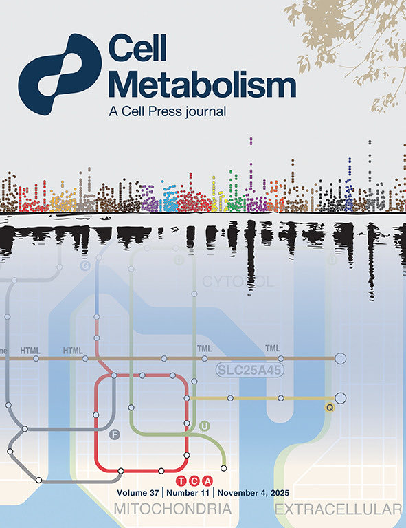 Aiims1742's tweet image. Cover article of @Cell_Metabolism by @KivancBirsoy @RockefellerUniv is a fitting tribute to NYC skyline &amp;amp; our subway map!
Machine-learning-guided discovery of SLC25A45 as a mediator of mitochondrial methylated amino acid import and carnitine synthesis
cell.com/cell-metabolis…