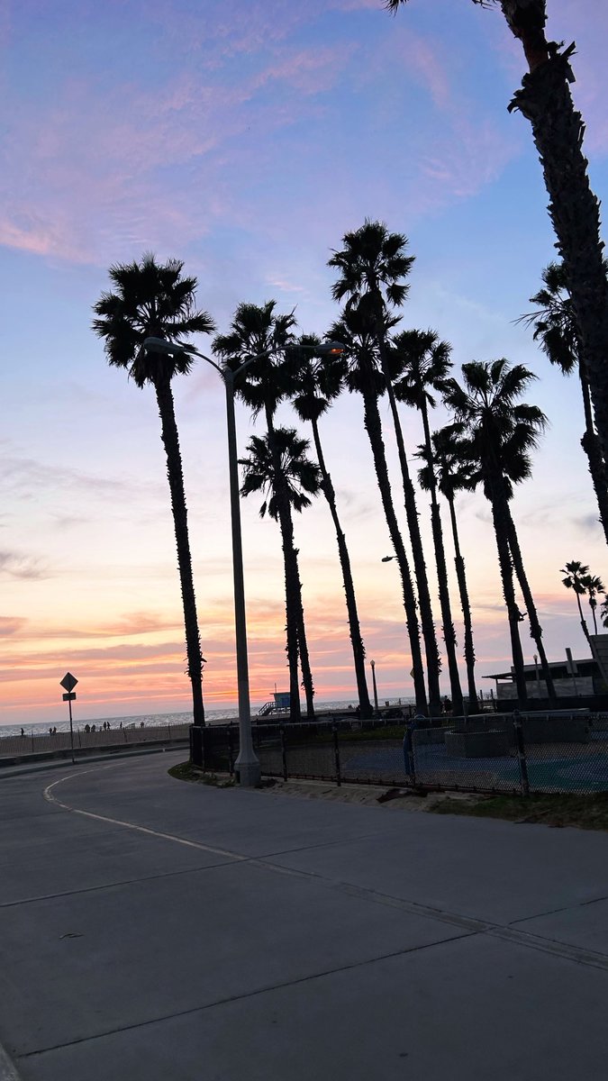 Terms Digital ⊕ tweet media