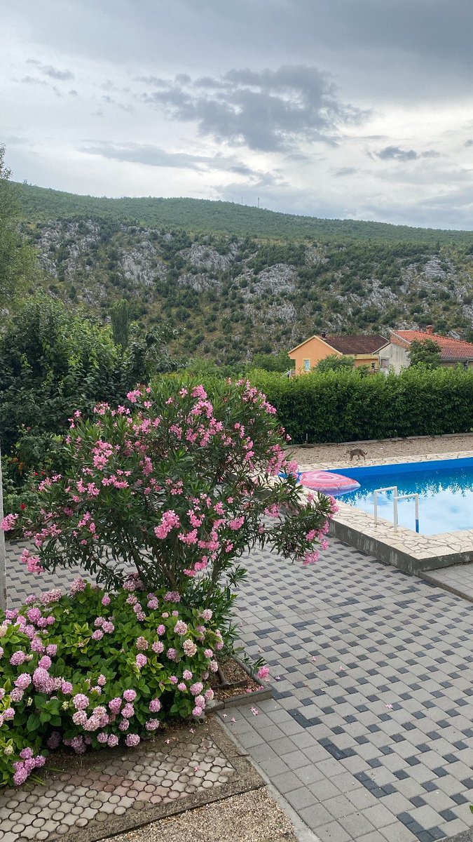 جعلكـــــم الله​ من المطمئنة قلوبهم ، والمنشرحة صدورهم ، والمضاءة دروبهم ،والمجابة دعواتهم ورزقكم ربي طول العمر ، وصلاح العمل مع طيب المقام ، وحسن الختام وجعلكم من احباب سيد الأنام ، وادخلكم جنة الفردوس بسلام .
*🤲اللهم آمين يارب العالمين🤲*

 🌹أسعد الله صباحكم بكل خير🌹