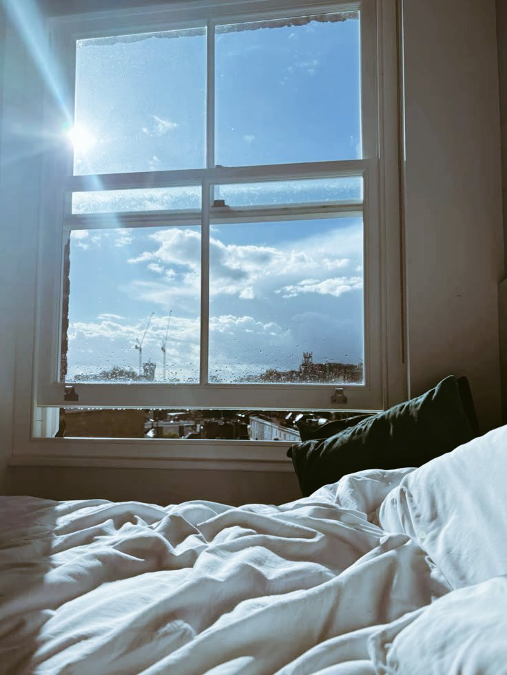 drkmxion's tweet image. good morning, folks.