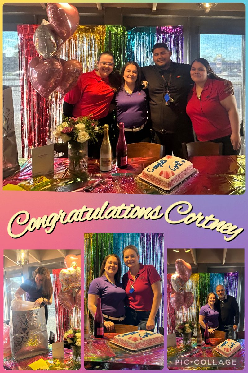 Marnie Mazzoni-Todd tweet media