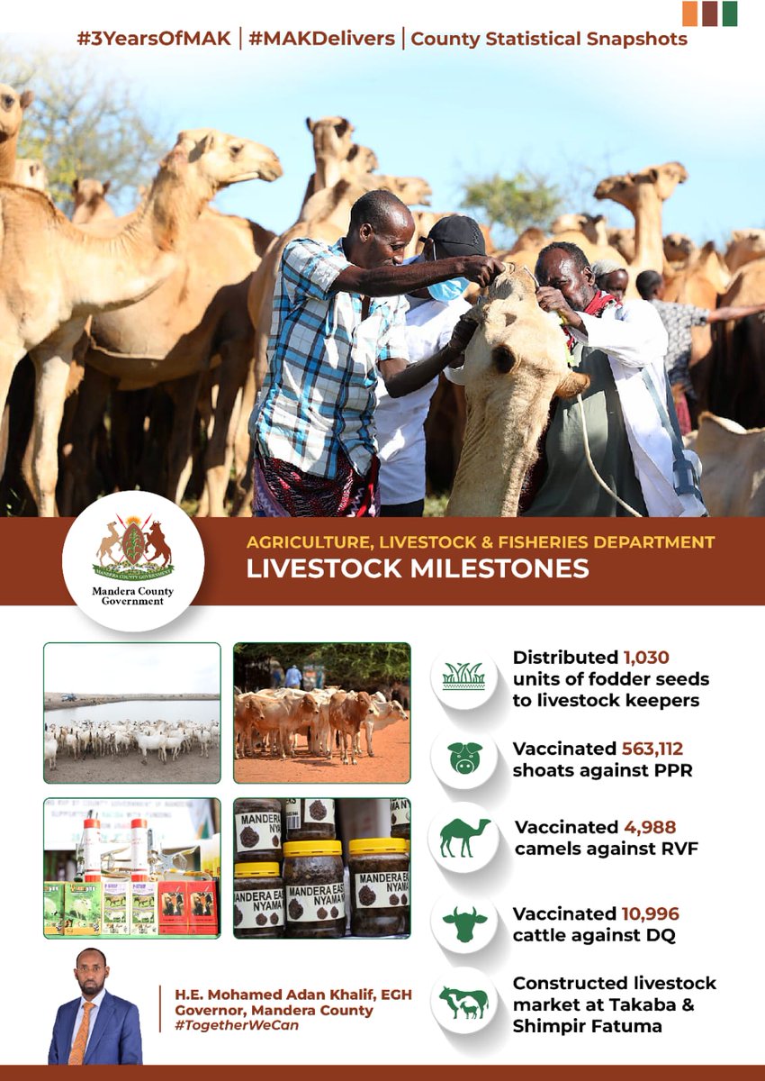 Steady progress in Mandera under Governor <a href="/MohamedAKhalif/">H.E Mohamed Adan Khalif</a> leadership. From expanding crop production and irrigation coverage to improving livestock health and markets, real transformation is taking root.
A story of delivery, resilience and empowerment.

#3YearsOfMAK #MAKDelivers