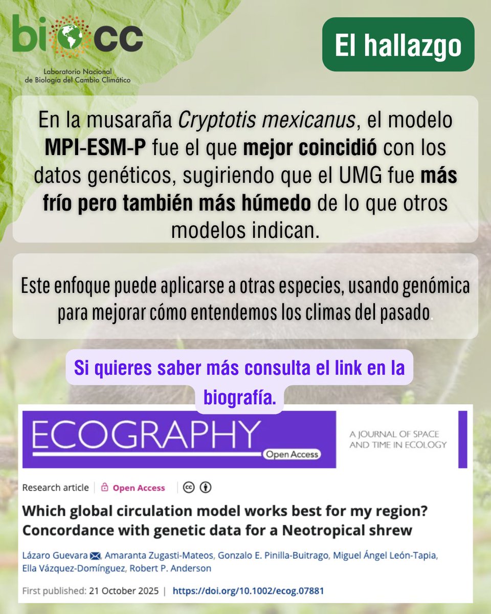 LNCBioCC's tweet image. 🔹 Solo MPI-ESM-P concuerda con poblaciones estables en las 4 localidades, sugiriendo un LGM frío y húmedo para la región.

📖 doi.org/10.1002/ecog.0…

#Ecography #ClimateModels #NicheModelling #Phylogeography