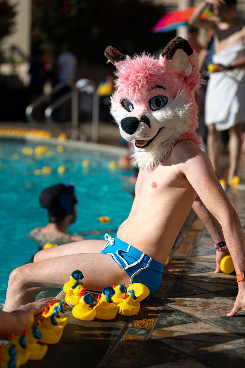 pjfoxes's tweet photo. Quack? ๐ฆ๐
๐ธ Keeewiiii
#furry #fursuit #fursuiting #pawcon #furries https://t.co/vDGsPKvnEJ