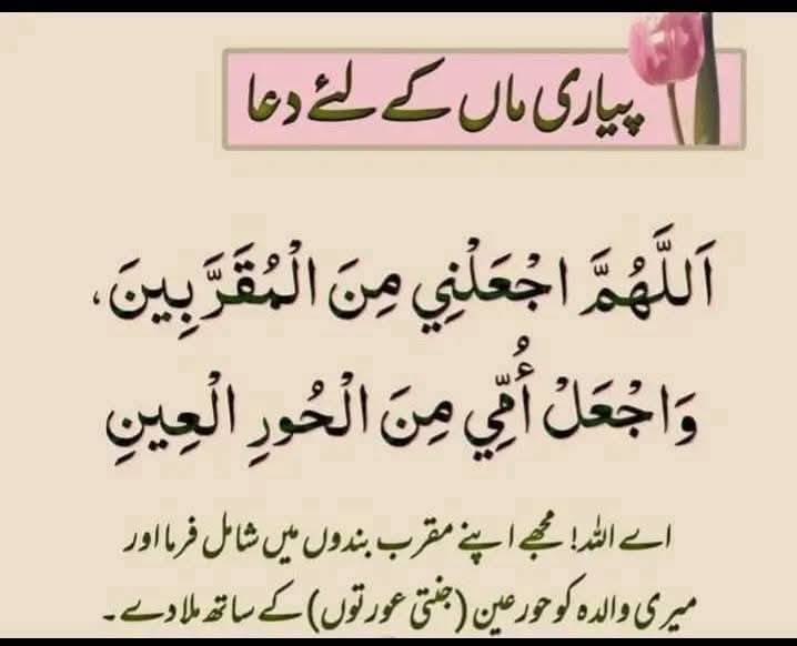 💎رفعت💎 tweet media