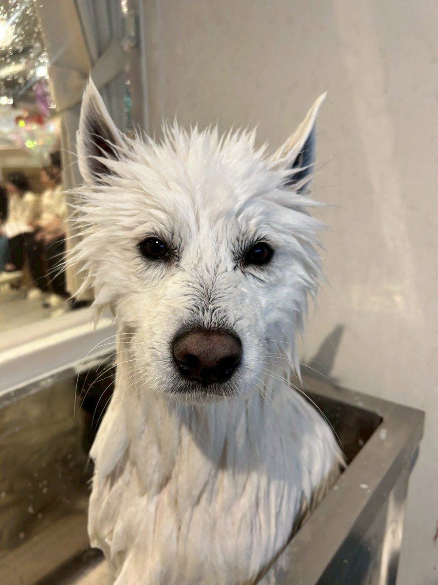 さも、、、えど、、？