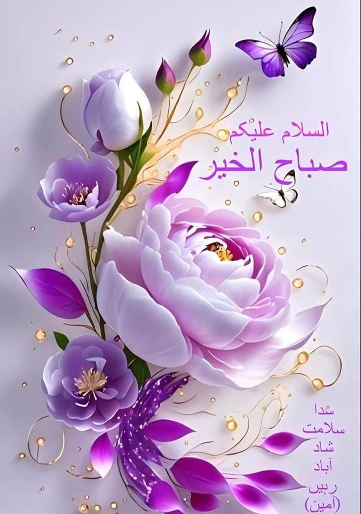 🖤شاہ_زادی tweet media