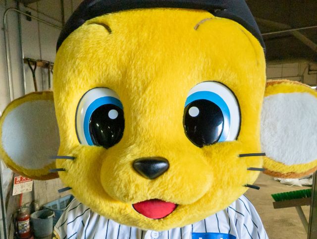 亮涼猫(りょうにゃん) (@necojryo) / Posts / X