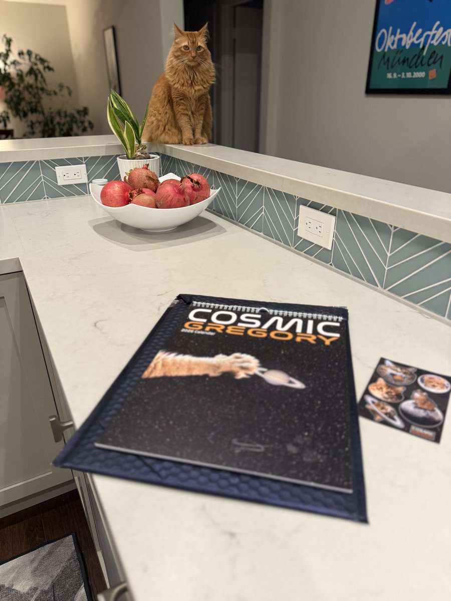 ChristinaRoo's tweet photo. @AJamesMcCarthy Mac is not as impressed with our new calendar as I am, because it’s not about her. https://t.co/K2jriS7FC7