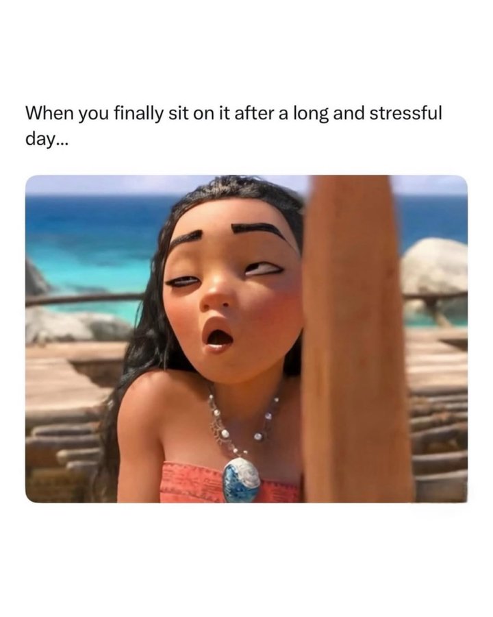 😂🤣😂🤣