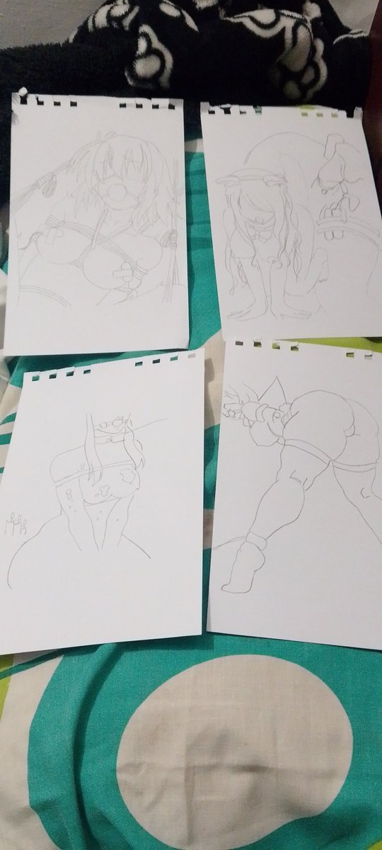 Tengo los siguientes dibujos hechos por mi pareja los cuales pienso digitalizar y terminar digan por cual empiezo