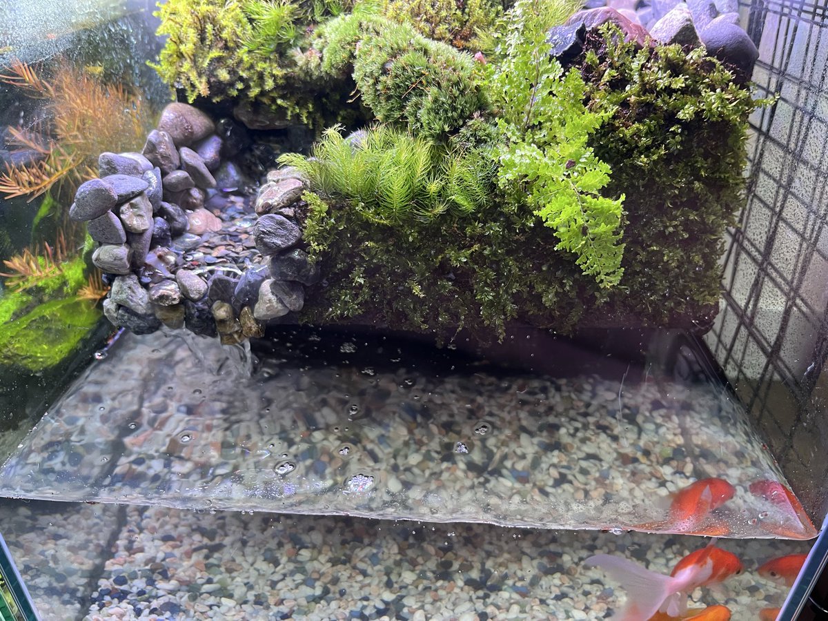 じゃすお tweet media