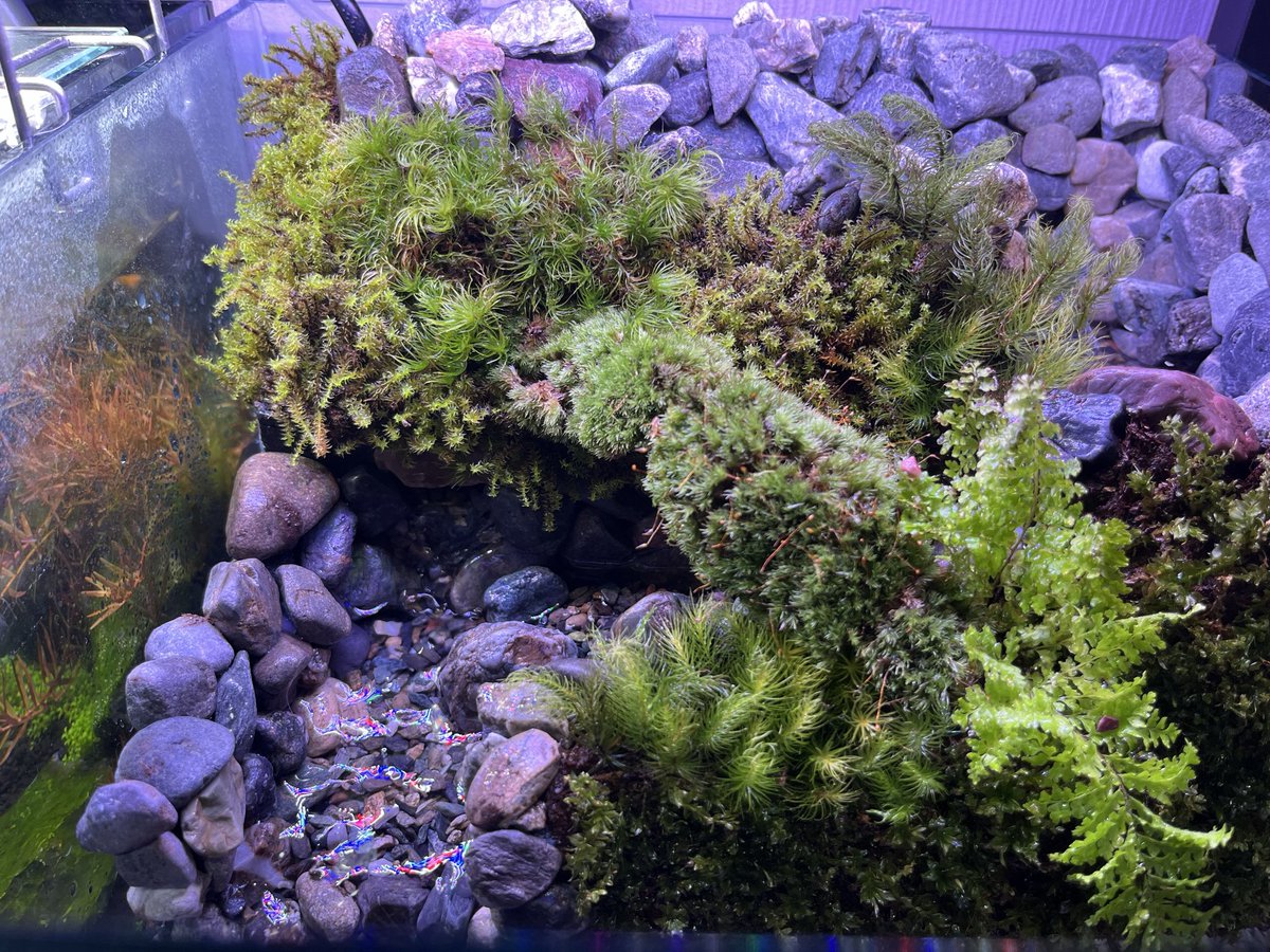 じゃすお tweet media