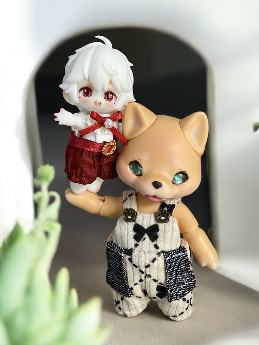 しぐれに小さなワンコ仲間ができたね〜🐕♡🐶

#いいワンワンの日
#cocoriang #小さな子犬わたあめ