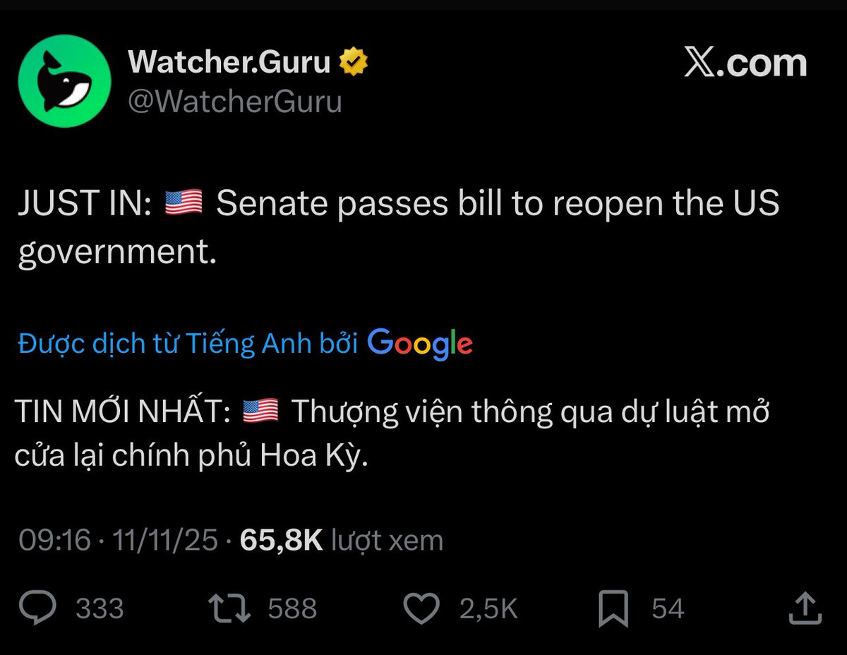 BudLoc8's tweet photo. The great TIMING from TG @toadgod1017 

In TG we trust!
Always Believe!
#toby #taboshi #patience #twpot https://t.co/chOqoNwQ0y