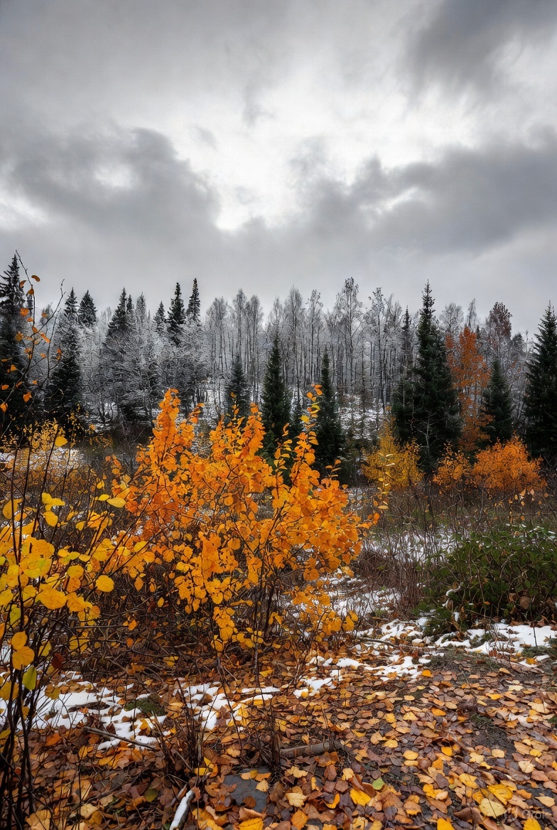 it_o_en_llc's tweet image. 寒いですね。
秋をすっ飛ばして一気に冬入りした感じで、体もついていきません。
中の人も体調が上がることはなく、悪くなって普通に戻る繰り返しでメンタルもやられます。
天気が良くなって、パーッと気分も上がったらいいな～

#企業公式相互フォロー祭り
#企業公式秋のフォロー祭り