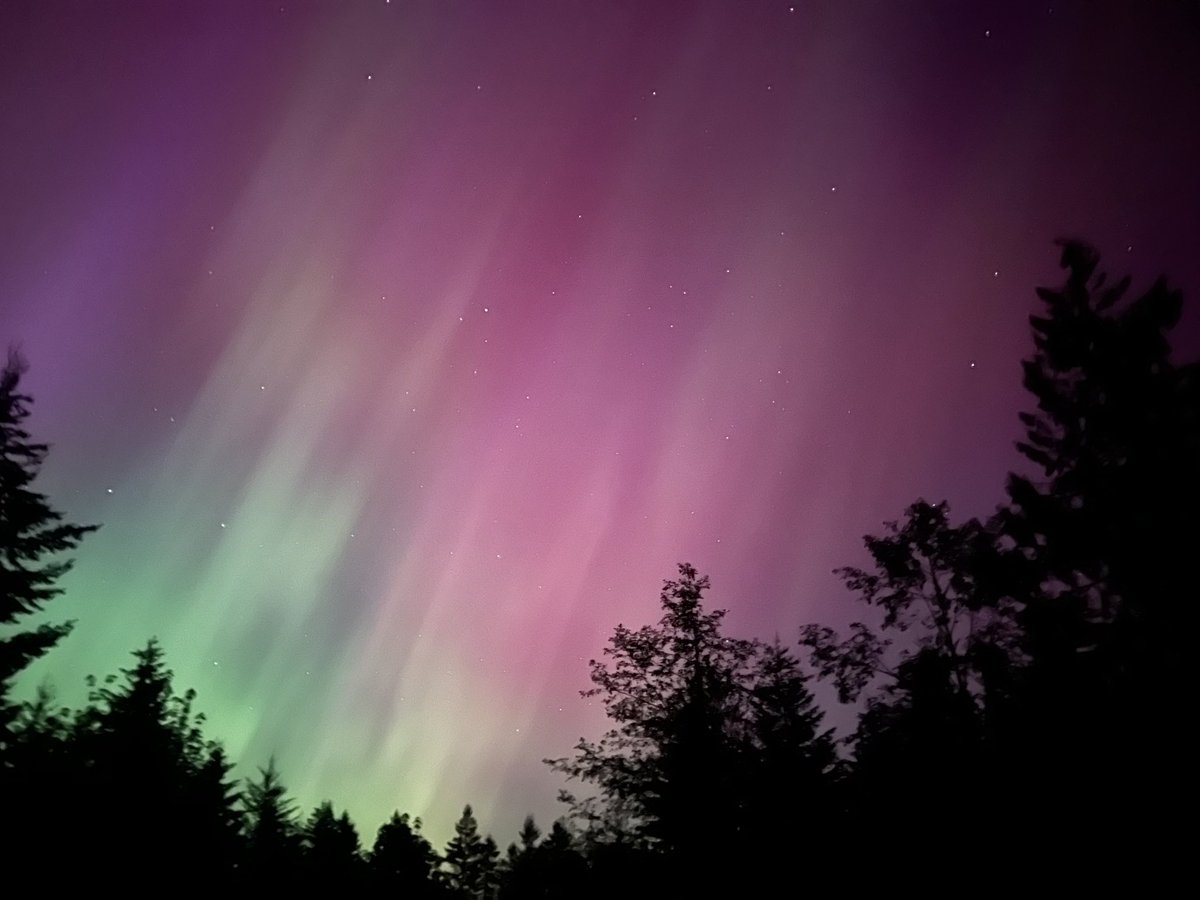 ShaneNeilson2's tweet photo. @MMorrillArt From my place in sw Washington 2yrs ago https://t.co/OCXhwDF1yi