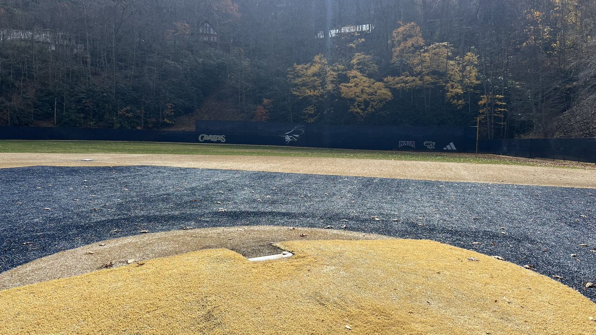 Nathan Allen tweet media