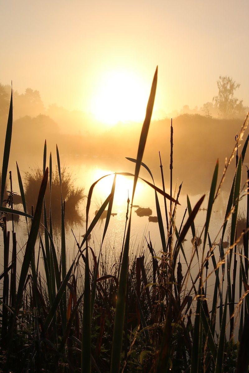 Embun di ujung ilalang
Semburat jingga sebelum fajar menetas
Elok pagi yang dirangkum oleh sejuk
Berbisik sebuah bait di antara kicau burung

Aku dan rindu
Padamu

Satu waktu, di antara tak terhingga–ku
———