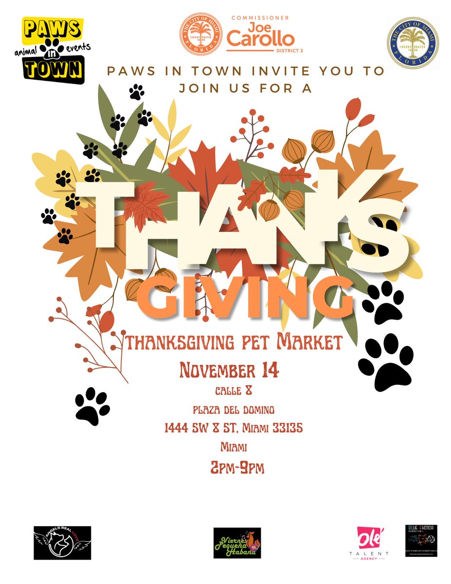 Joe Carollo tweet media