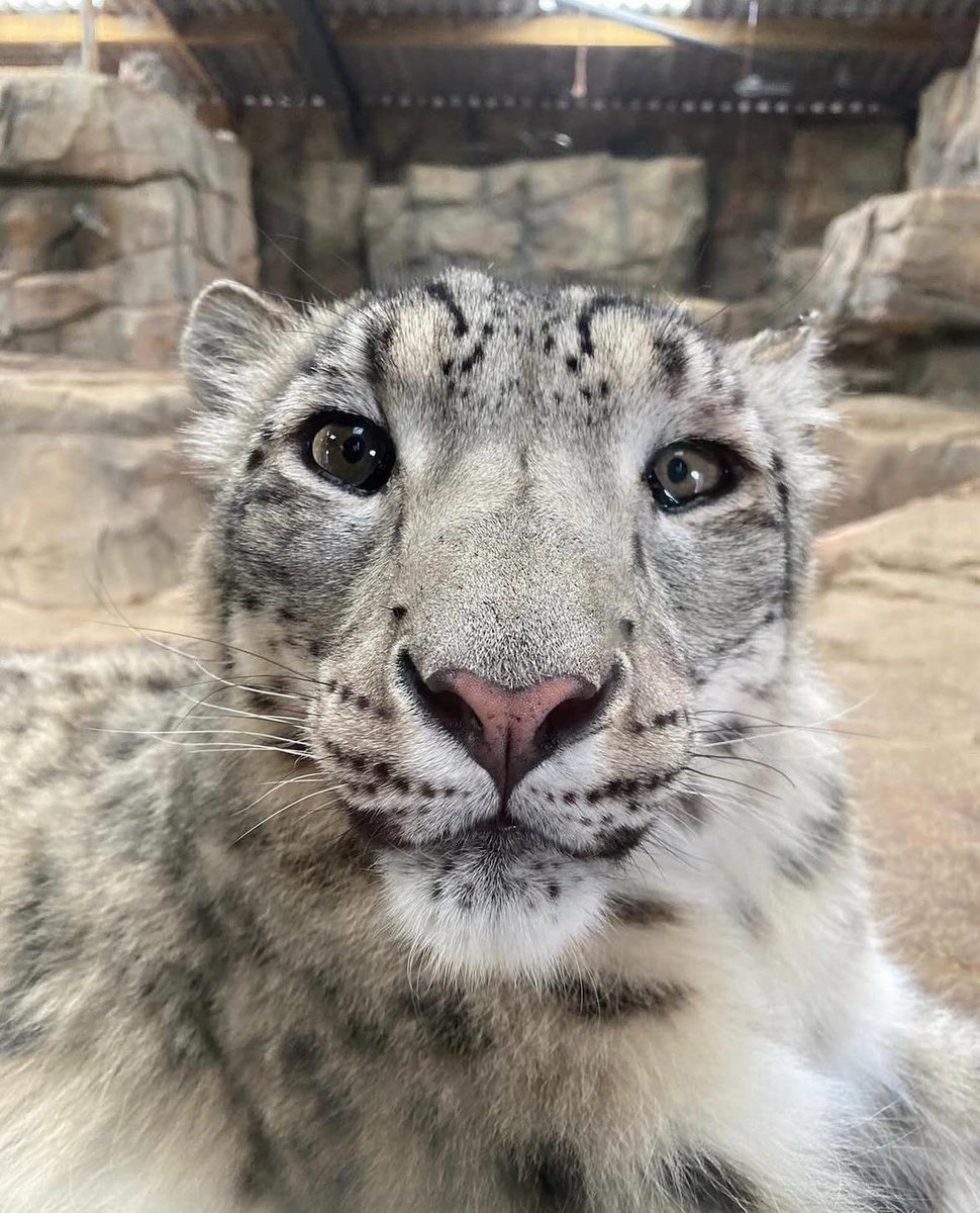 a creature feature... featuring... the creature