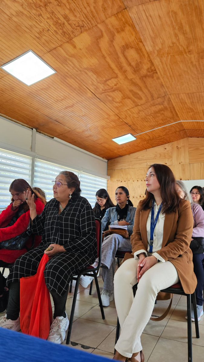En el marco del Día Internacional de las Personas Cuidadoras, Taller sobre Discapacidad y Género,organizado por Casa Comunal de Cuidados de Villa Alemana, con relatoría de Corporación asistencia judicial _ Senadis.