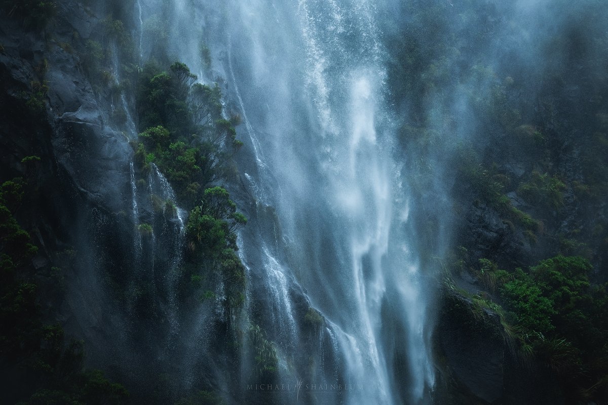 Michael Shainblum tweet media