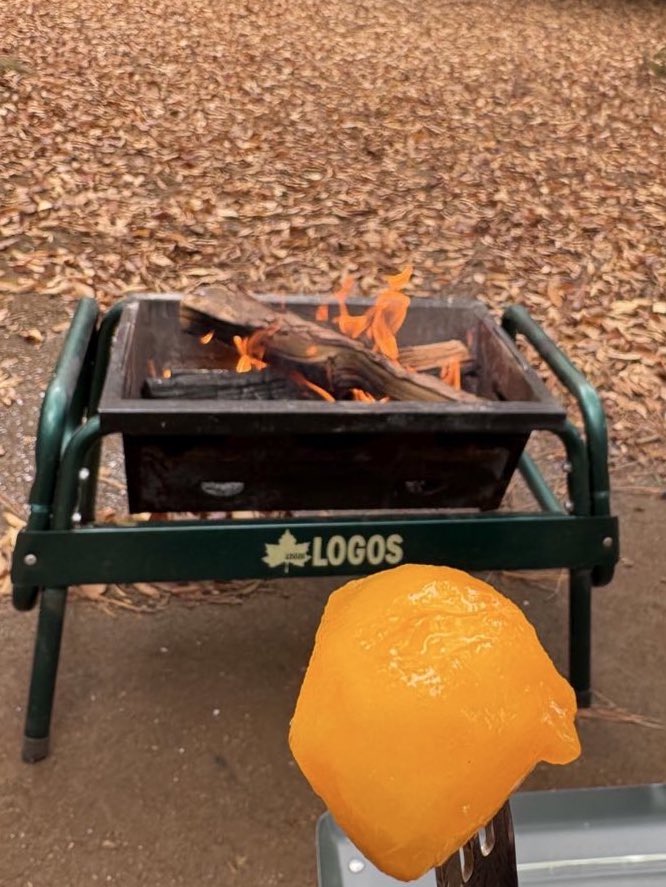 杉本 (@zR7AyL27huQONs2) / Posts and Replies / X