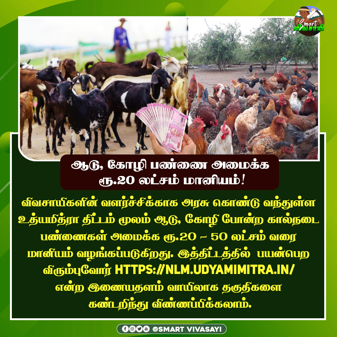 smart_vivasayi's tweet photo. ஆடு, கோழி பண்ணை அமைக்க ரூ.20 லட்சம் மானியம்!

#Udyamimitra #Vivasayam #GoatFarm #ChickenFarm #FarmersSupport #GovernmentScheme #TamilNaduAgriculture #Vivasayi #Pannai #AgricultureLoan #SubsidyScheme #IndianFarmers #AgriBusiness #TamilCaption #VivasayaSeithigal https://t.co/l8QodNrTEL