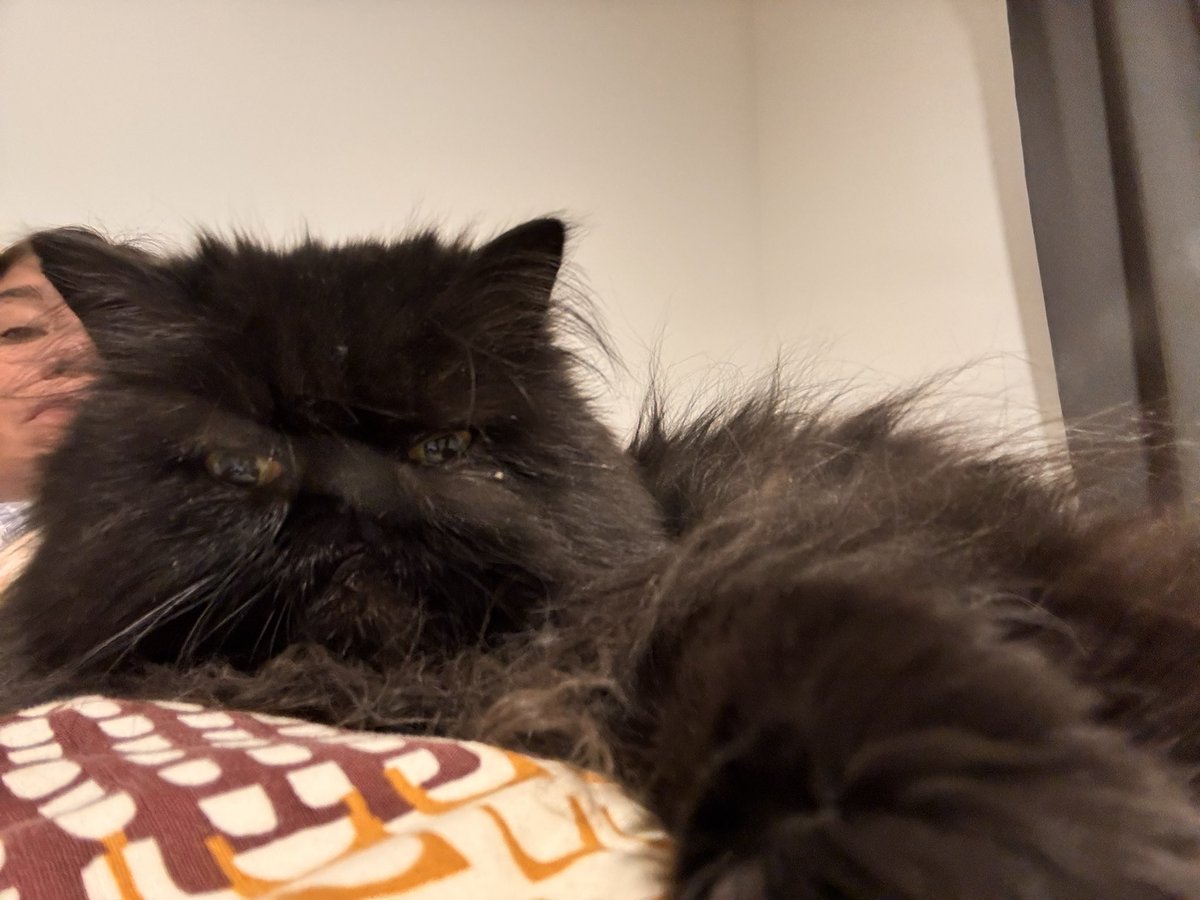 Ya nos vamos a dormir. Lupita primero sobre mí y luego se pasa a su almohada.