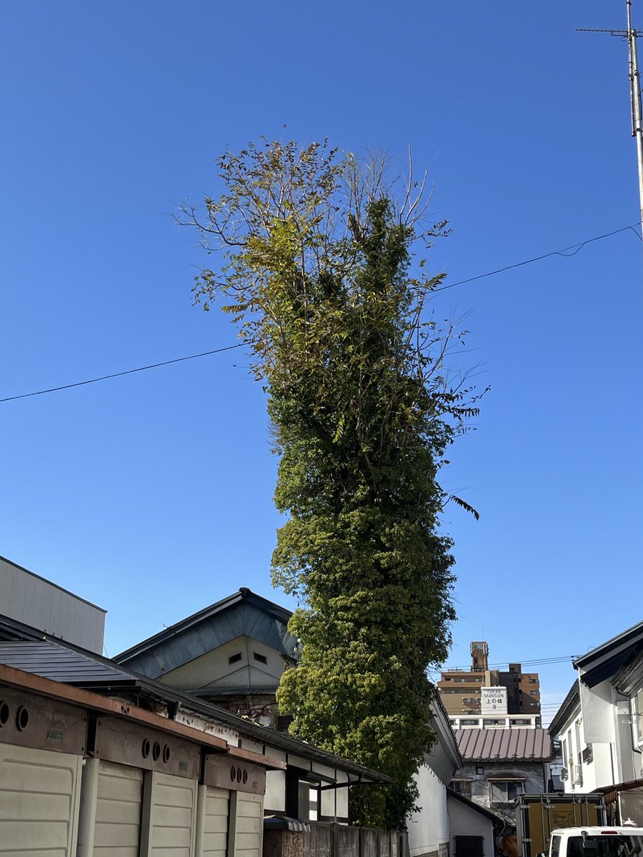 紙町銅版画工房 on X