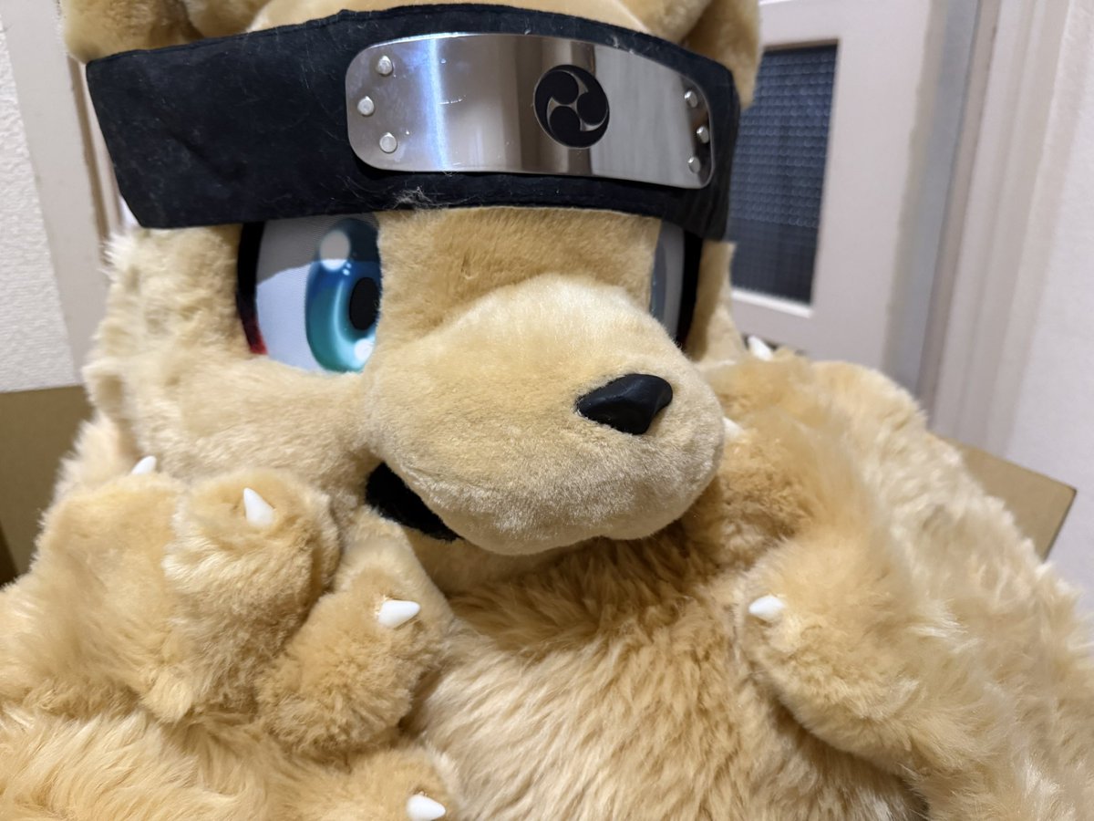 お絵描き系忍者犬Vtuber🥷🐶太影(ふとかげ) tweet media