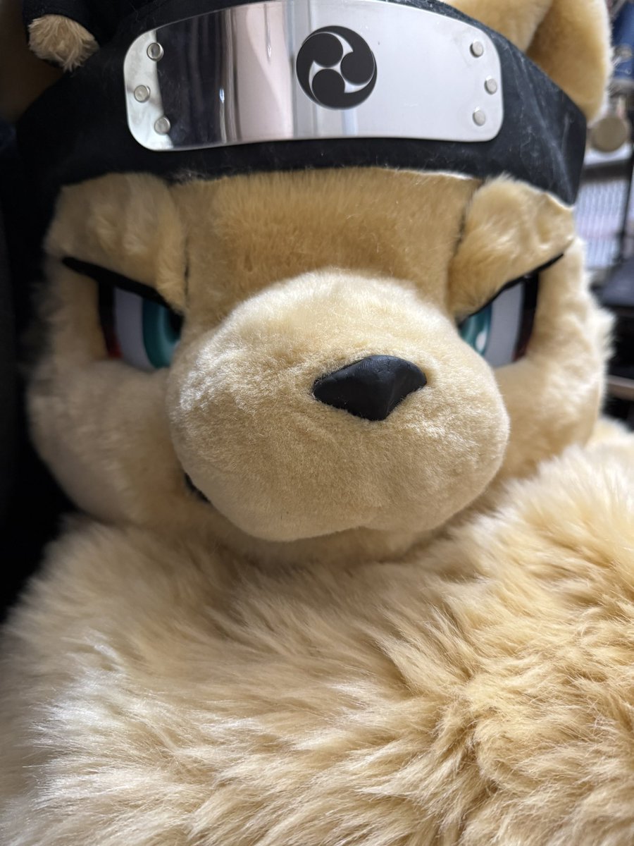 お絵描き系忍者犬Vtuber🥷🐶太影(ふとかげ) tweet media