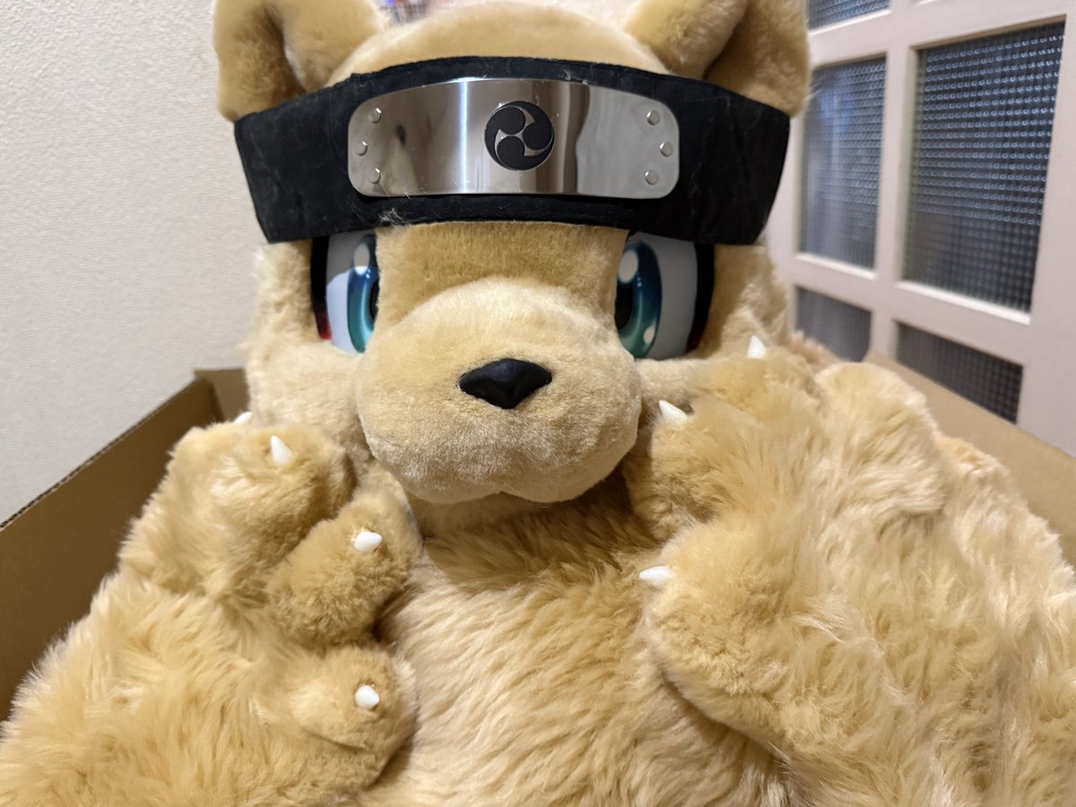 お絵描き系忍者犬Vtuber🥷🐶太影(ふとかげ) tweet media