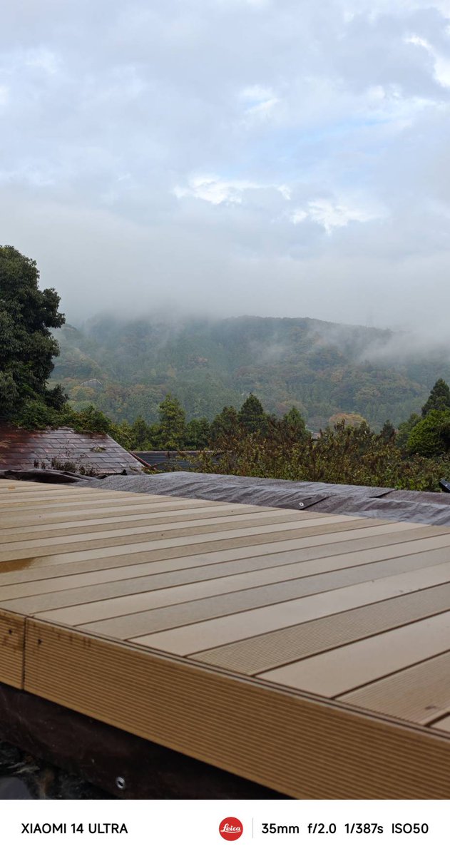 mokuseidayo's tweet image. 森に土地を買いイナバ物置で別荘を作ろうとしています。

窓と断熱材が貼れたので、壁を打ち張り紙を貼った。

通常は壁に石膏ボードを貼ってから、その上に壁紙を貼るけれども、…