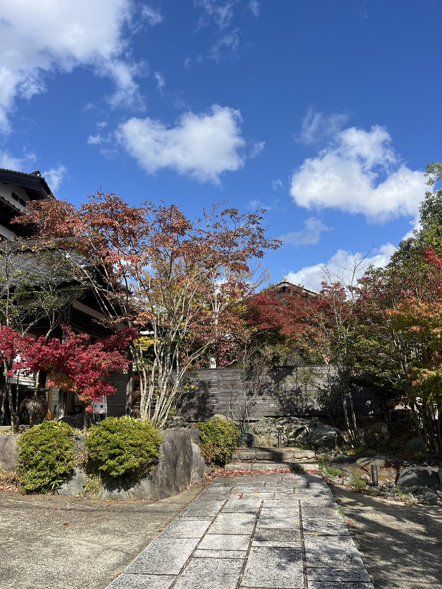 su_ki_daaa's tweet photo. 与謝野に来て、ひさしぶりの人たちと喋って分かりやすく元気になってる🍂 https://t.co/UfkOAZeM0J