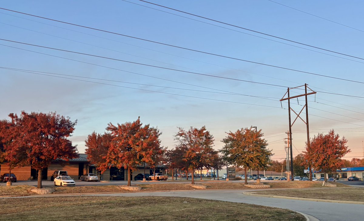 Today’s installment of fall trees of VB!  💚💚💚