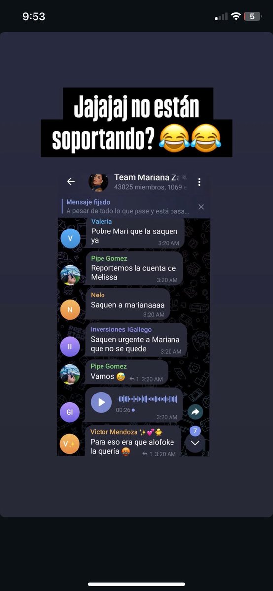 MANUELA VILLA PAREDES tweet media