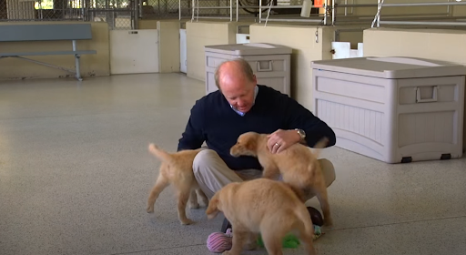 For the past 40 yrs, a simple yet compelling organization-wide vision has guided southeastern Guide Dogs: “to help those who cannot see” to provide service animals to children and veterans 🐕‍🦺
#realroger #SoutheasternGuideDogs #influentialdoctormagazine
influentialpeoplemagazine.com/roger-pettinge…