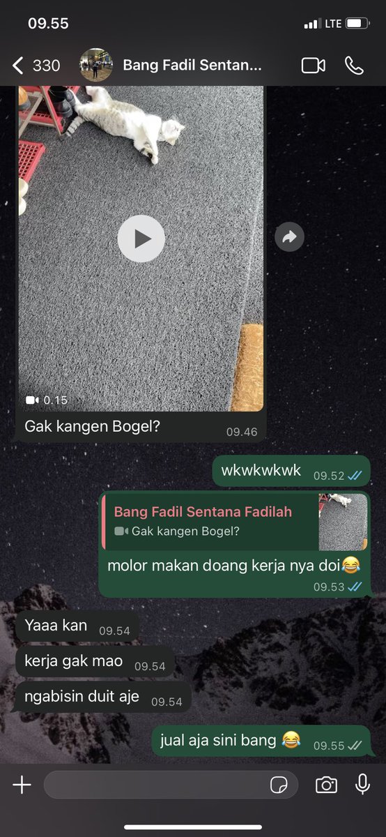 bahas kucing ❌
ngajak ketemuan ✅